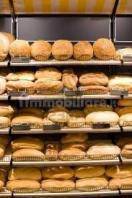 4 rooms Commercial property in Florence, Italy No. 48763