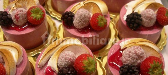 4 rooms Commercial property in Florence, Italy No. 48763 3