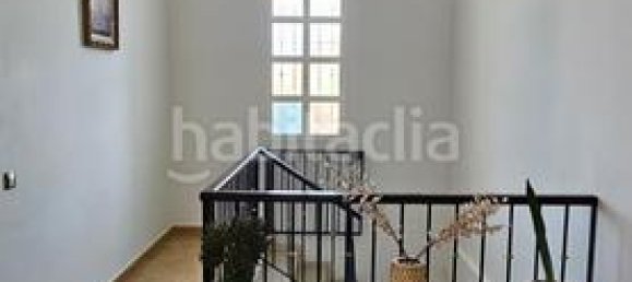 5 bedrooms House in Alcolea, Spain No. 103205 21