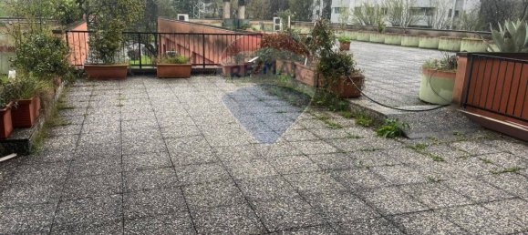 1-Zimmer Gewerbliche Immobilie in San Donato Milanese, Italy, Nr. 56999 4