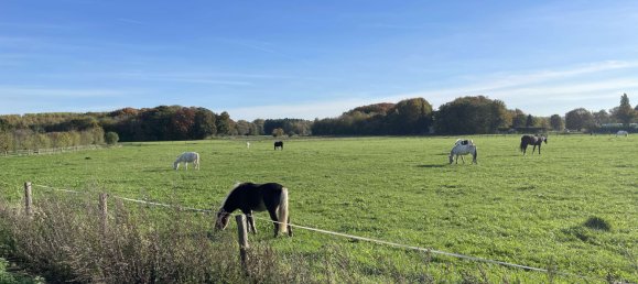 4 bedrooms House in Cologne, Germany No. 162309 2