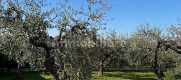 3 bedrooms Villa in Palombara Sabina, Italy No. 250828 6