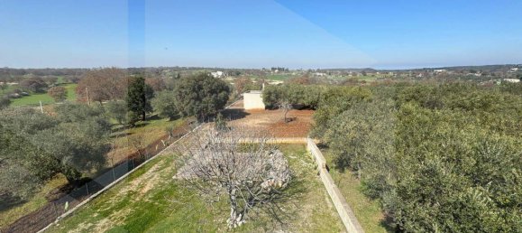 Склад с 4 комнатами в Монополи, Италия № 20963 38