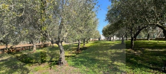 Склад с 4 комнатами в Монополи, Италия № 20963 36