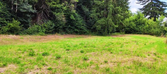  Land in Neunkirchen, Austria No. 192527 7