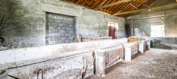 4 bedrooms House in Salto, Portugal No. 124504 31