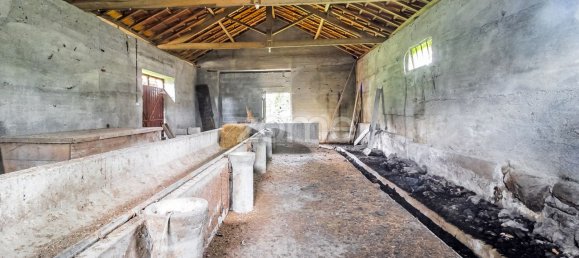 4 bedrooms House in Salto, Portugal No. 124504 30