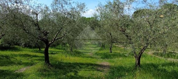 4 rooms Villa in Rome, Italy No. 310131 4