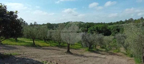 4 rooms Villa in Rome, Italy No. 310131 11