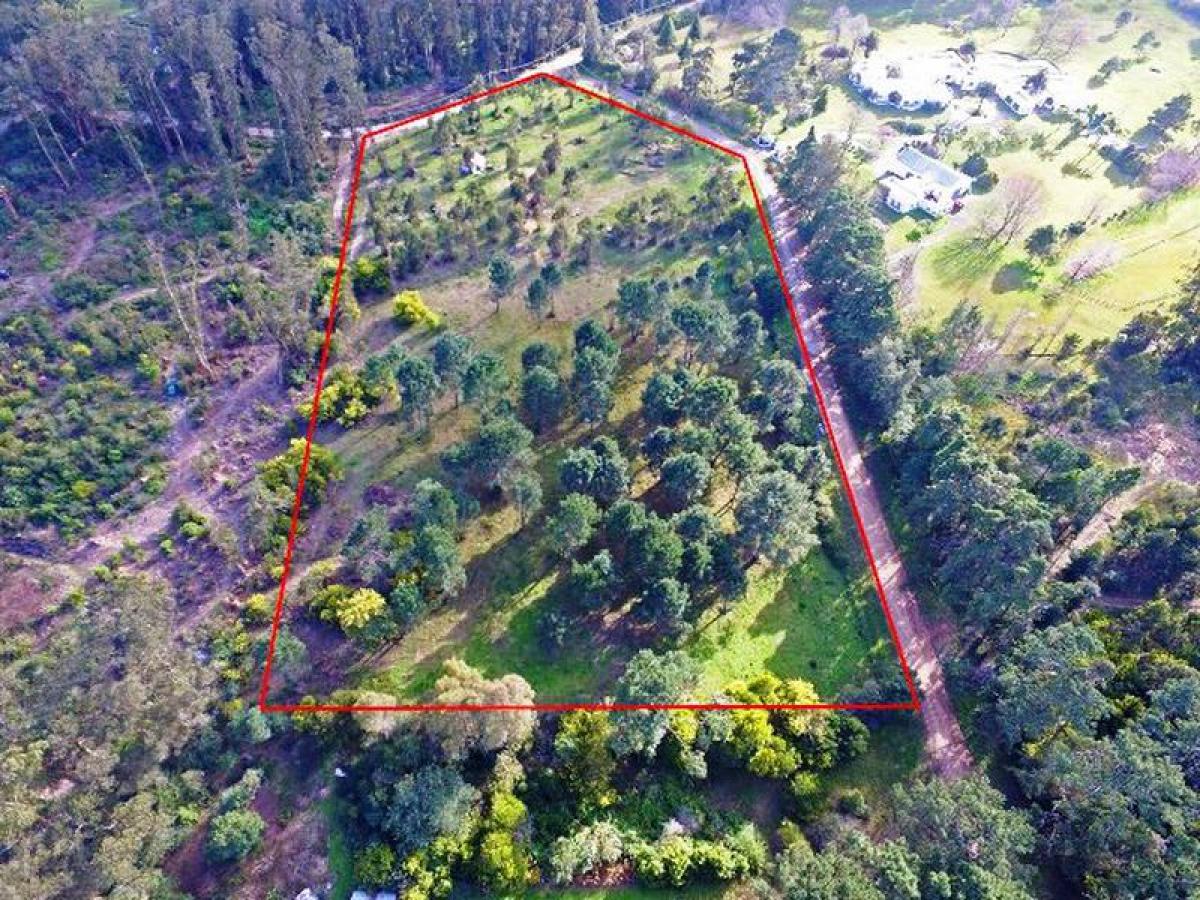 Terrain à Maldonado, Uruguay No. 14463