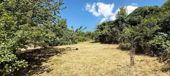 Земельный участок в Якомини, Австрия № 244636 4