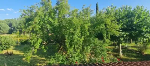 Casa de 3 dormitorios en Valladolid, Spain No. 187809 22