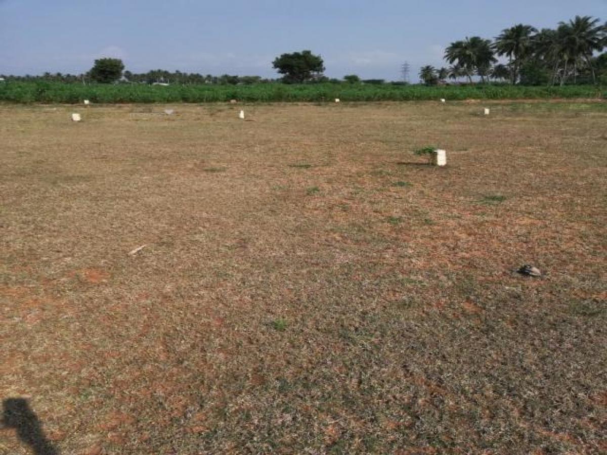  Land in Coimbatore, India No. 34436