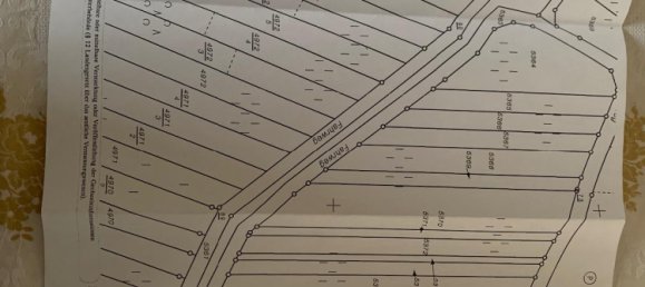 Земельный участок в Рейнланд-Пфальц, Германия № 242299 2