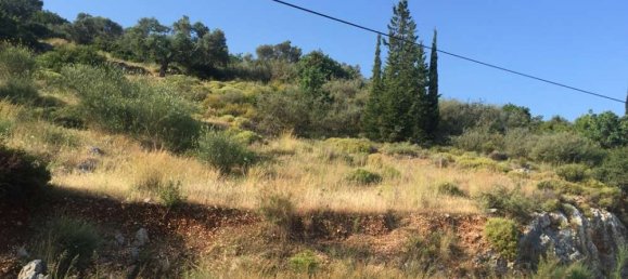 Hotel en Zakynthos, Greece No. 678 9