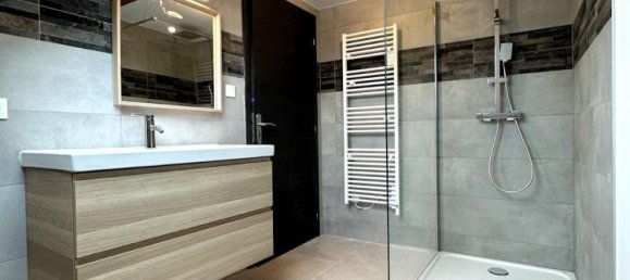 9 غرف نوم منزل في Benfeld, France رقم 41630 16