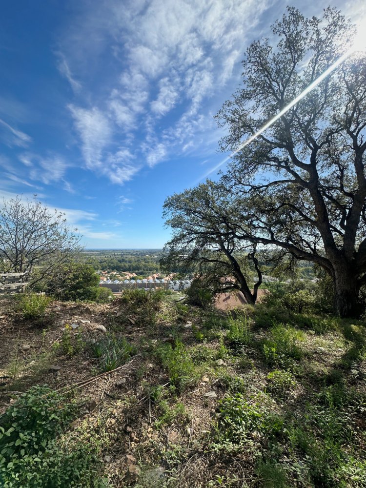  قطعة أرض في Lucciana, France رقم 215744