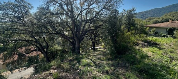  قطعة أرض في Lucciana, France رقم 215744 3