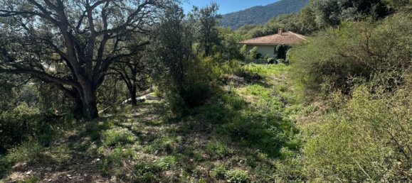  قطعة أرض في Lucciana, France رقم 215744 2