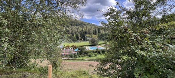 Hotel en Calw, Germany 35083 m² No. 310681 28