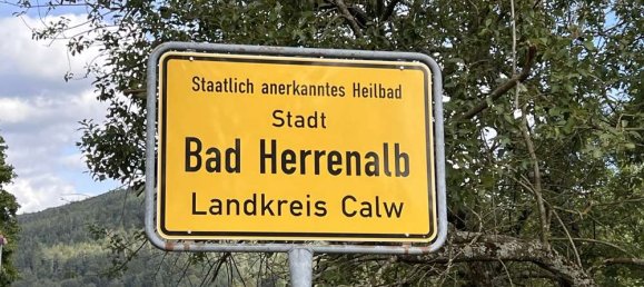 Hotel en Calw, Germany 35083 m² No. 310681 2