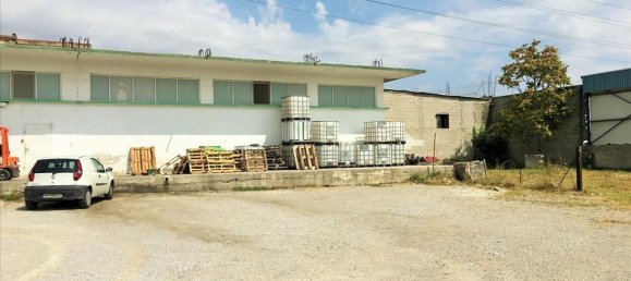 1770m² Property in Stavroupoli, Greece No. 4654 9