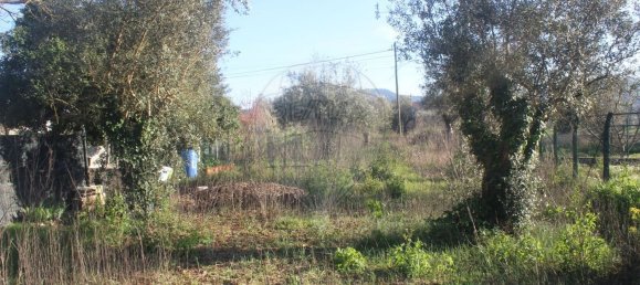2 Schlafzimmer Haus in Chao de Couce, Portugal, Nr. 175994 4