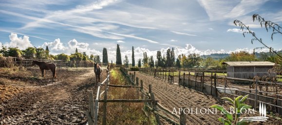 10 bedrooms House in Castelnuovo Berardenga, Italy No. 56463 47