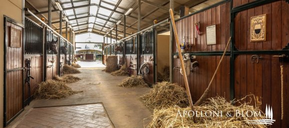 10 bedrooms House in Castelnuovo Berardenga, Italy No. 56463 44