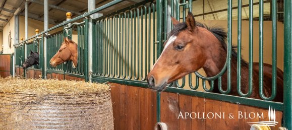 10 bedrooms House in Castelnuovo Berardenga, Italy No. 56463 9