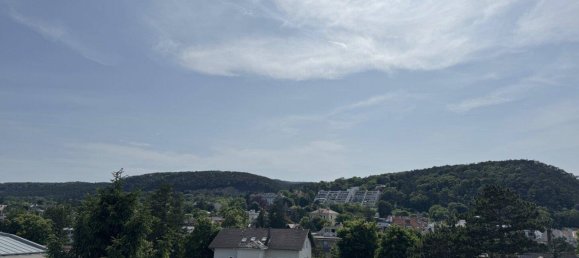 Квартира с 5 комнатами в Мёдлинг, Австрия № 168700 3