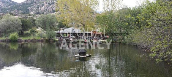 8 bedrooms Commercial property in Manzanares el Real, Spain No. 189724 10