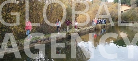 8 bedrooms Commercial property in Manzanares el Real, Spain No. 189724 3