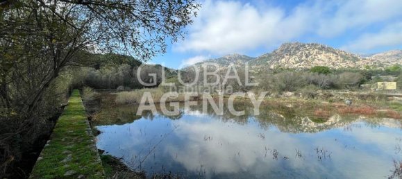 8 bedrooms Commercial property in Manzanares el Real, Spain No. 189724 27