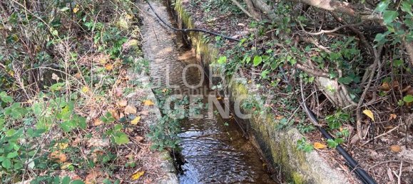 8 bedrooms Commercial property in Manzanares el Real, Spain No. 189724 31