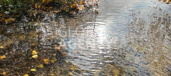 8 bedrooms Commercial property in Manzanares el Real, Spain No. 189724 33