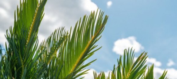 2 bedrooms Penthouse in Riccione, Italy No. 236839 47