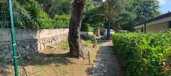 4-Zimmer Doppelhaus in San Giovanni a Piro, Italy, Nr. 278149 5