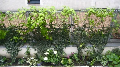 2 rooms Apartment in Alsergrund, Austria No. 238103