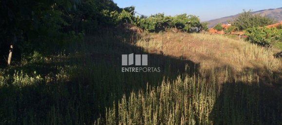 4900m² Land in Baiao, Portugal No. 50621 16