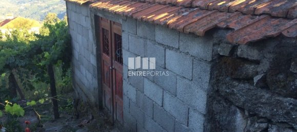 4900m² Land in Baiao, Portugal No. 50621 3