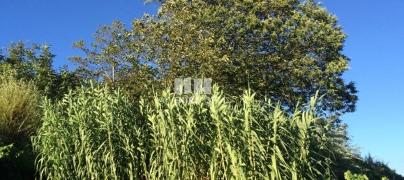 4900m² Land in Baiao, Portugal No. 50621 19