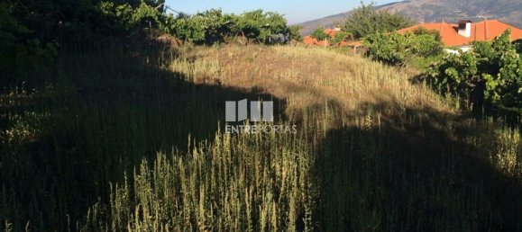 4900m² Land in Baiao, Portugal No. 50621 18