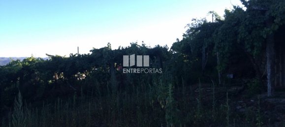 4900m² Land in Baiao, Portugal No. 50621 13