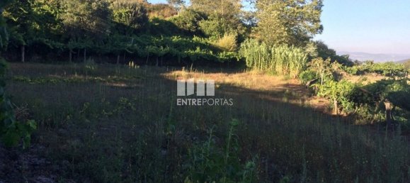 4900m² Land in Baiao, Portugal No. 50621 6