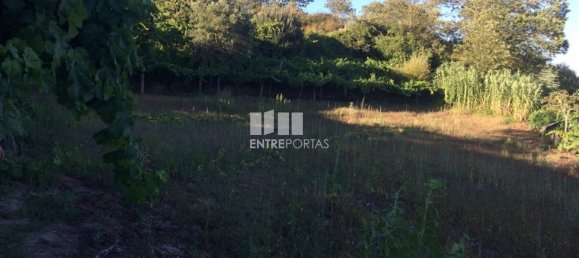 4900m² Land in Baiao, Portugal No. 50621 24