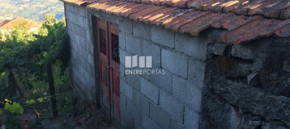 4900m² Land in Baiao, Portugal No. 50621 5