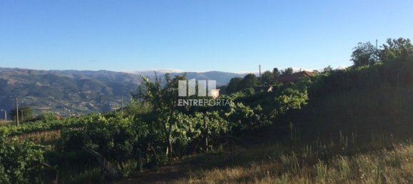 4900m² Land in Baiao, Portugal No. 50621 20