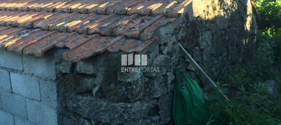 4900m² Land in Baiao, Portugal No. 50621 10