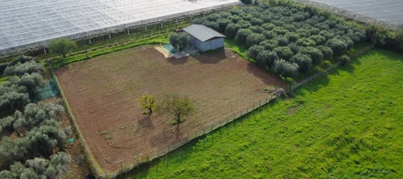 5240m² Land in Cisterna di Latina, Italy No. 157593 4